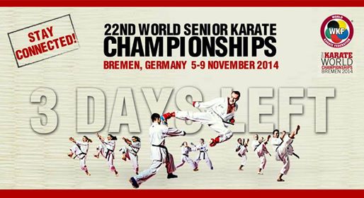 2014 World Karate Championships