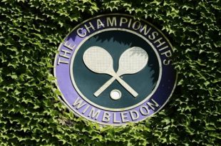 Wimbledon championship tennis thestoodent
