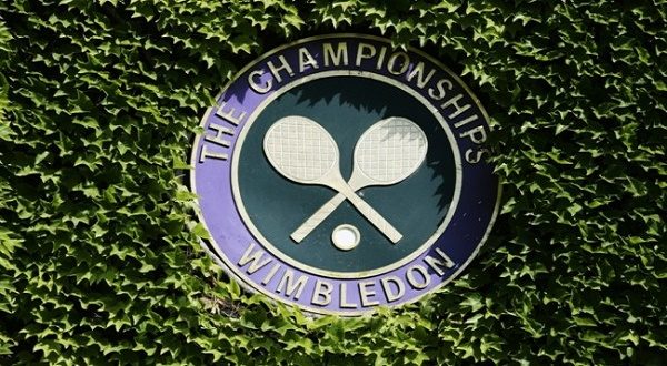 Wimbledon championship tennis thestoodent