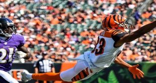 091017 bengals 38