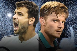 skysports grigor dimitrov david goffin atp tennis 4150264