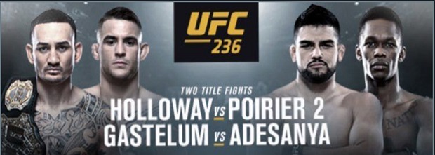 UFC236