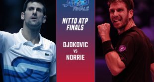 cameron norrie vs novak djokovic