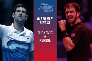 cameron norrie vs novak djokovic