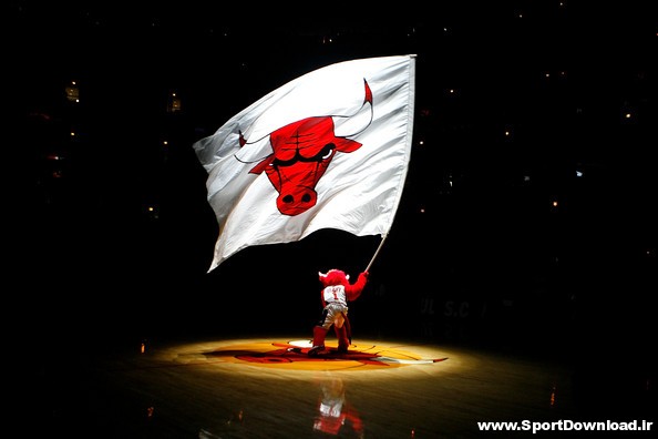 Chicago Bulls